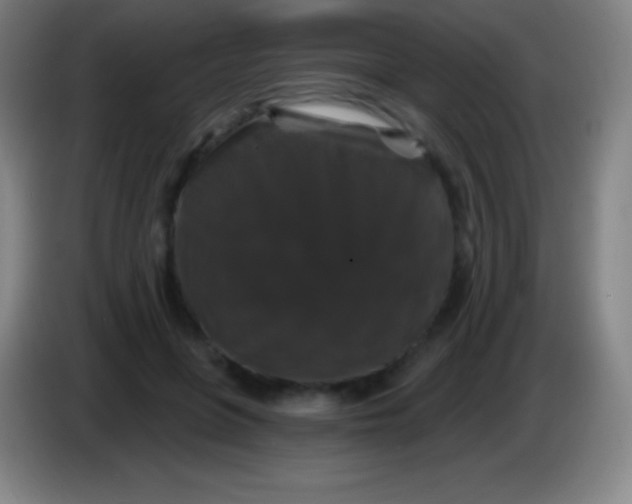 X0000085300551200703302003