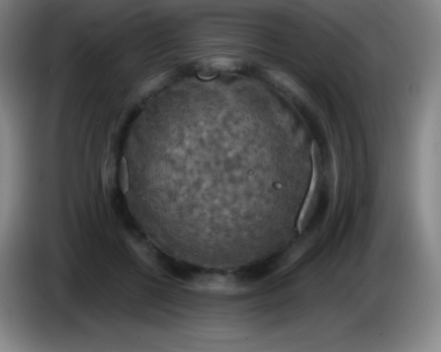 X0000085300552200703302003