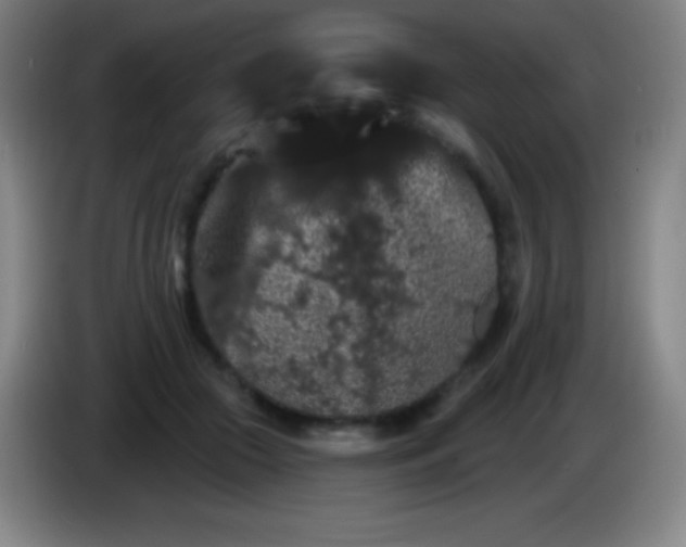 X0000085300553200703302003