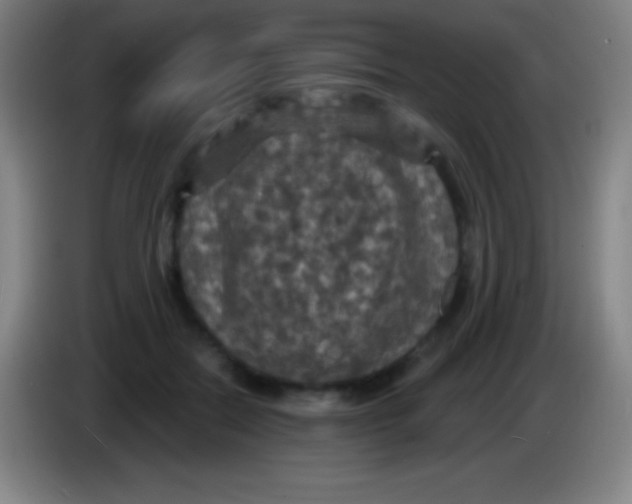 X0000085300554200703302003