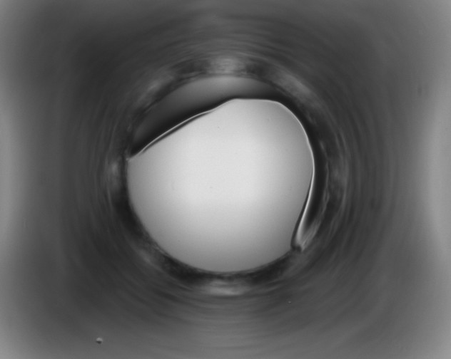 X0000085300556200703302003