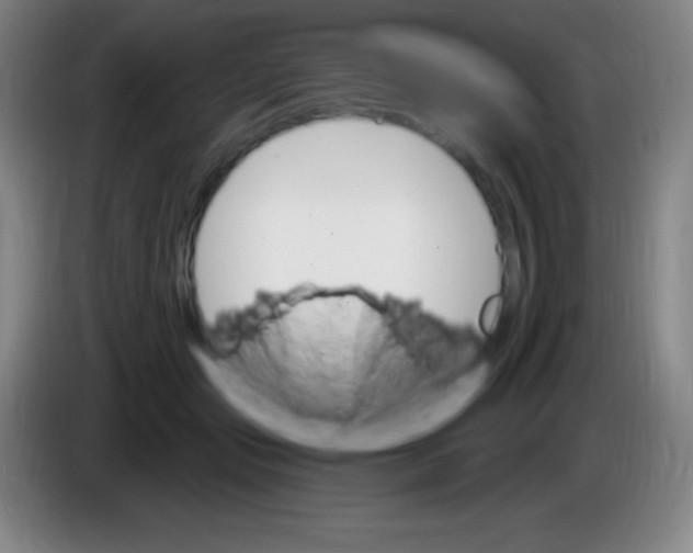 X0000085300557200703302003