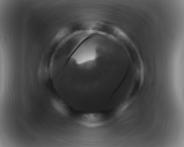 X0000085300558200703302003