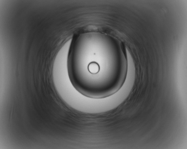 X0000085300560200703302003