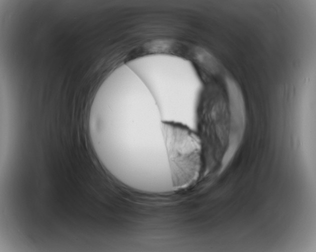 X0000085300561200703302003