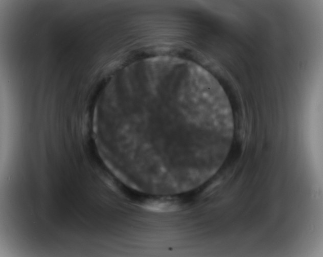 X0000085300563200703302003