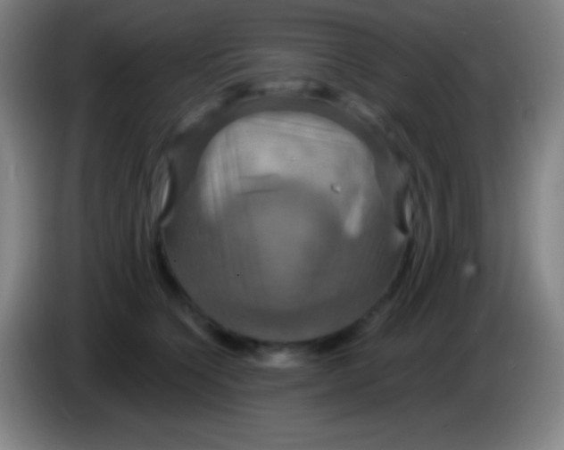 X0000085300564200703302003