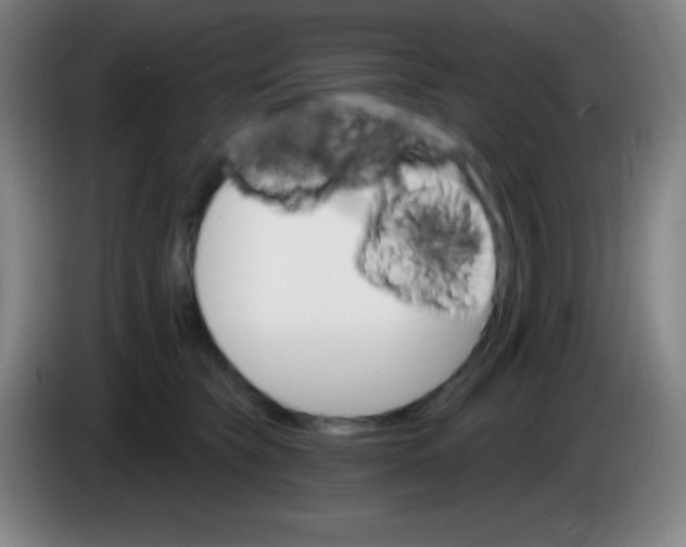 X0000085300565200703302003