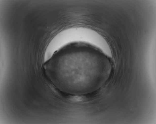 X0000085300566200703302003