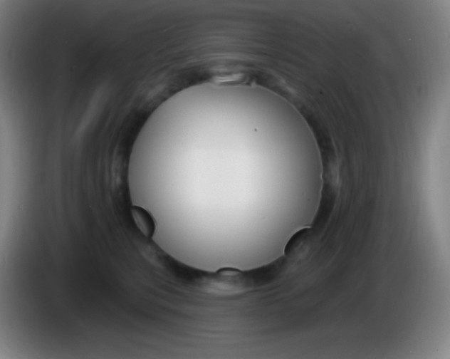 X0000085300567200703302003