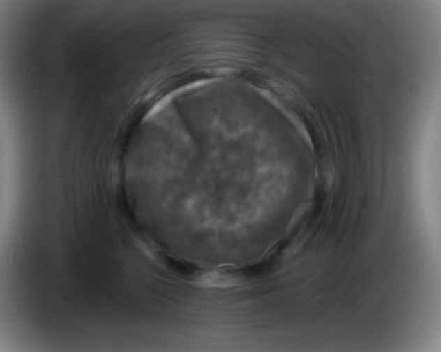 X0000085300568200703302003