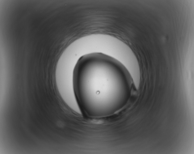 X0000085300570200703302003