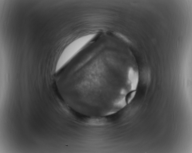 X0000085300571200703302003