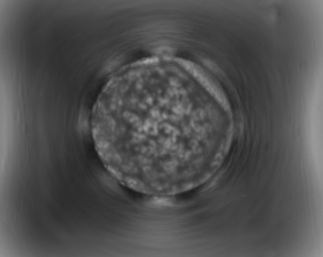 X0000085300573200703302003