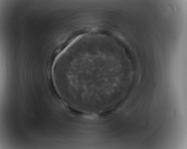 X0000085300576200703302003
