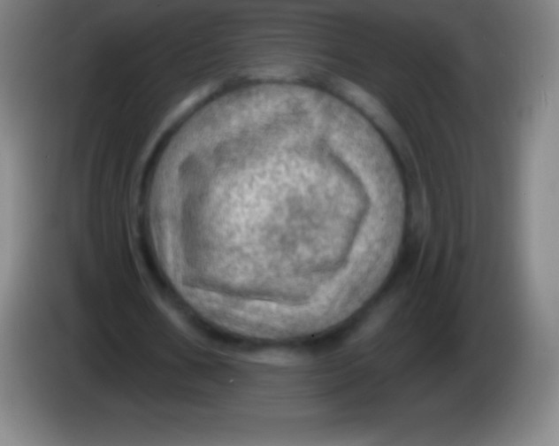 X0000085300578200703302003