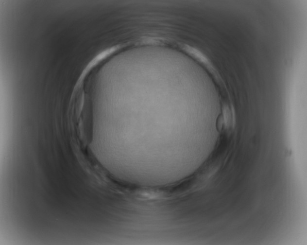 X0000085300579200703302003