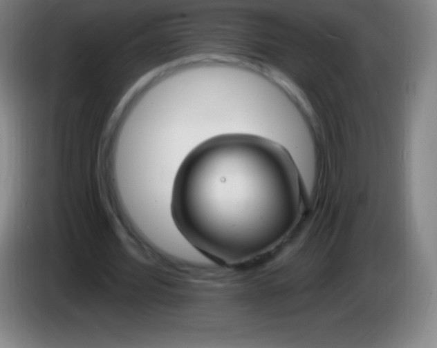 X0000085300580200703302003