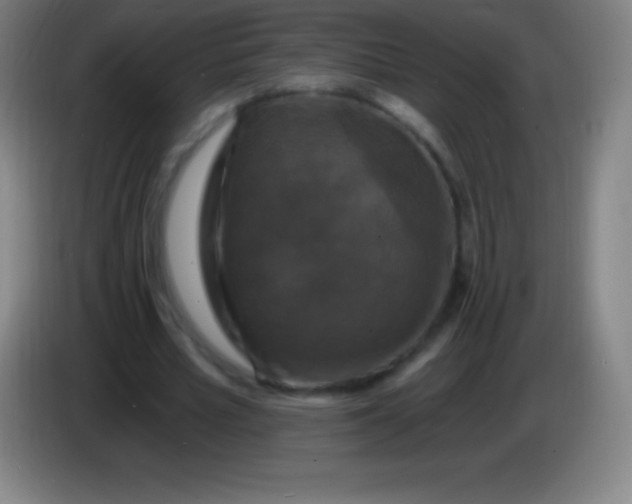 X0000085300581200703302003
