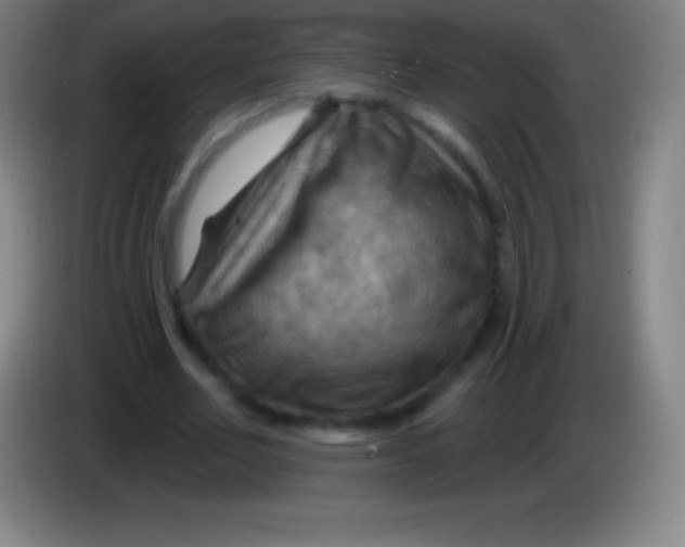 X0000085300582200703302003