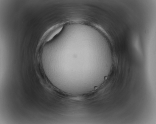 X0000085300583200703302003
