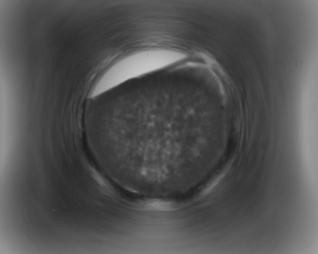 X0000085300585200703302003
