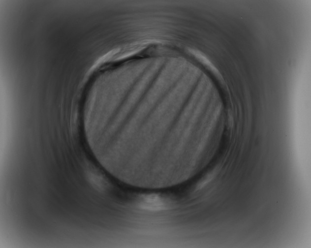 X0000085300588200703302002