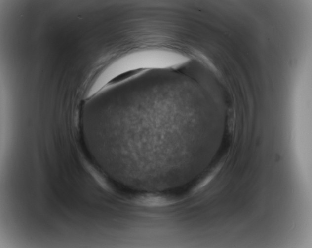 X0000085300589200703302002