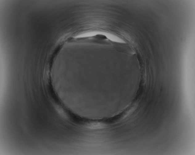 X0000085300590200703302002