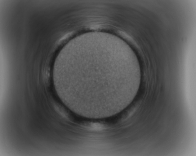 X0000085300592200703302002