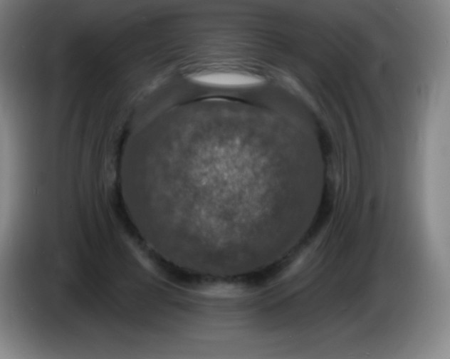 X0000085300593200703302002