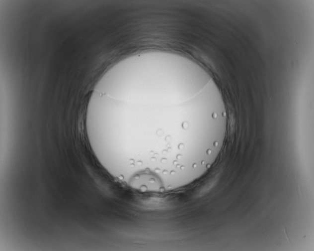X0000085300594200703302002