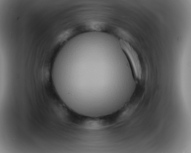 X0000085300595200703302002
