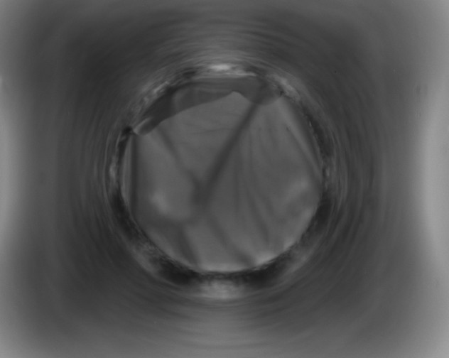 X0000085300598200703302002
