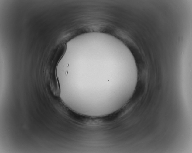 X0000085300599200703302002
