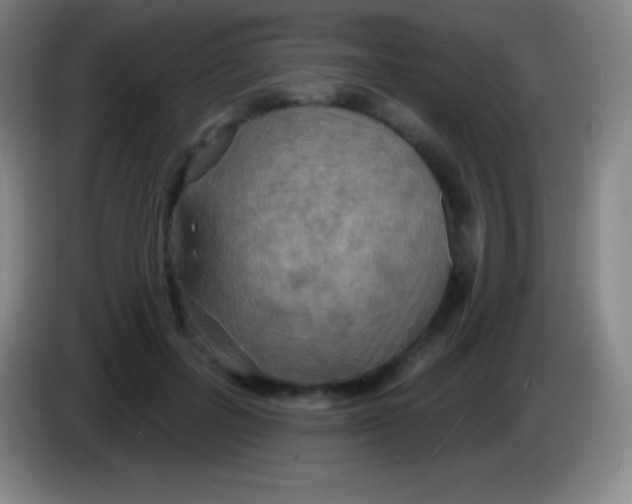 X0000085300600200703302002