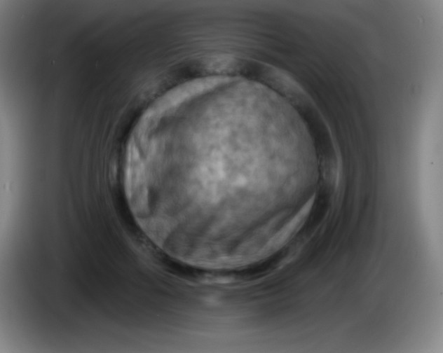X0000085300602200703302002