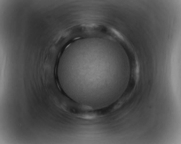 X0000085300604200703302002
