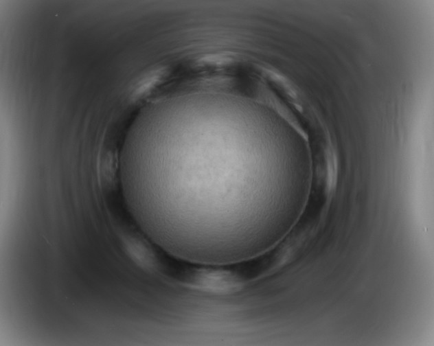 X0000085300605200703302002