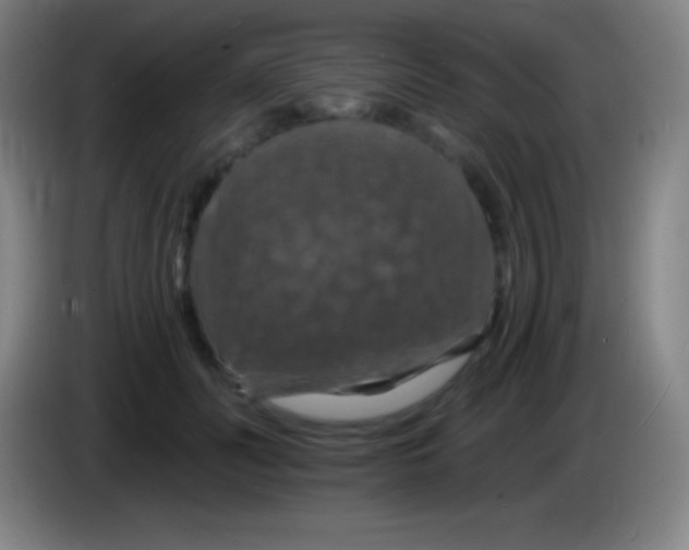 X0000085300606200703302002