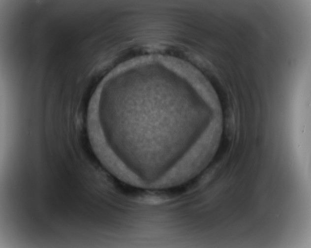 X0000085300608200703302002