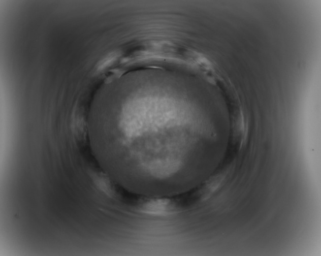 X0000085300609200703302002