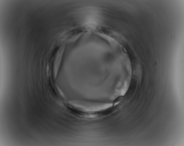 X0000085300610200703302002