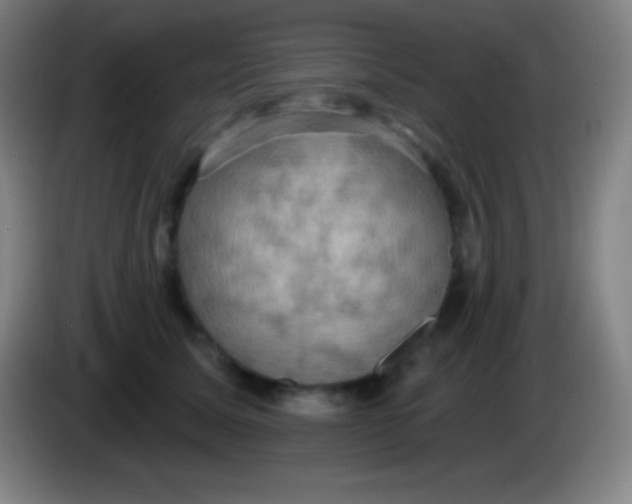 X0000085300611200703302002