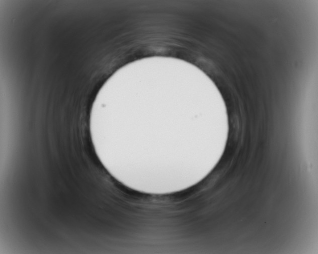 X0000085300612200703302002