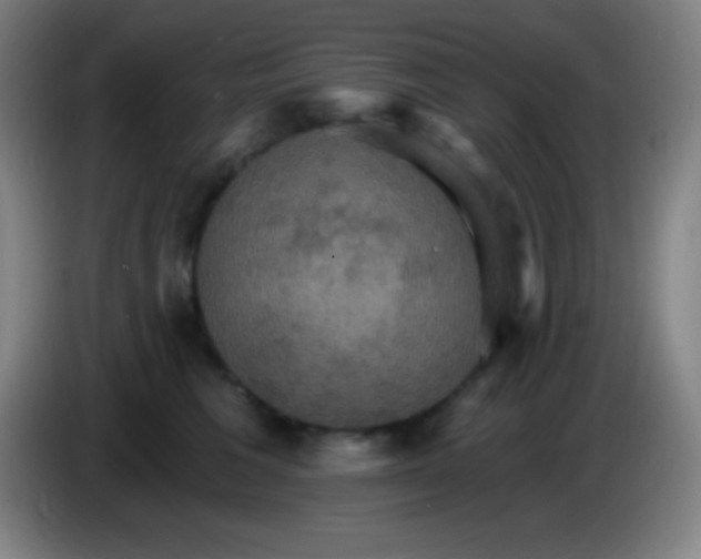 X0000085300613200703302002