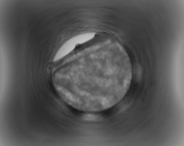 X0000085300614200703302002