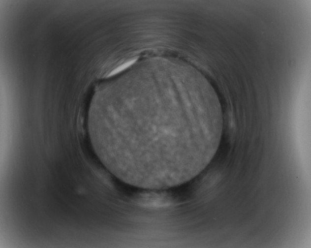 X0000085300615200703302002