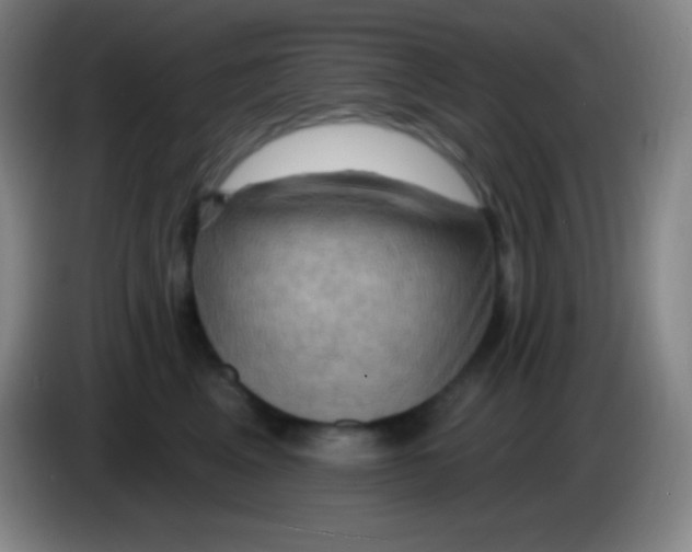 X0000085300617200703302002