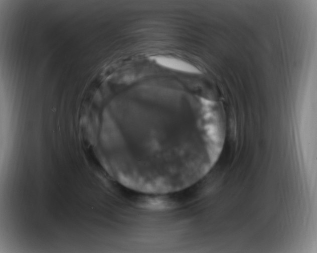 X0000085300618200703302002